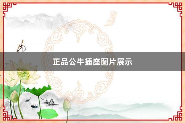 正品公牛插座图片展示