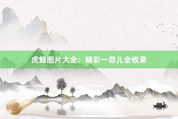 虎鲸图片大全：精彩一忽儿全收录